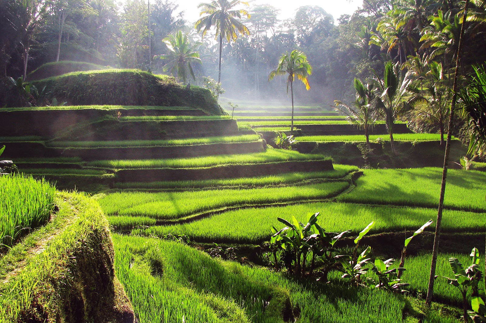 Bali Tatili Ubud’dan Nusa Penida’ya Tropik Bir Ada Yolculuğu