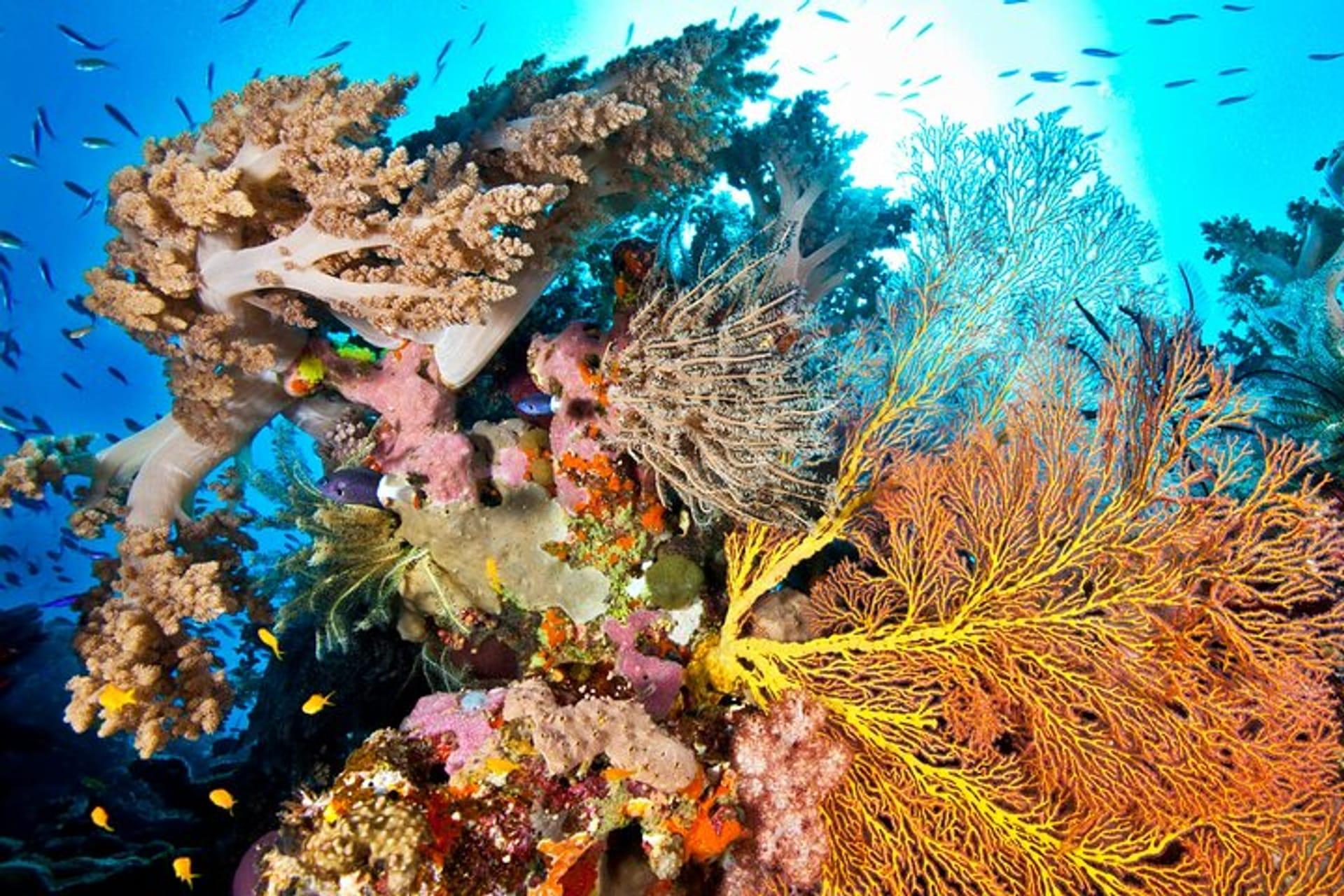 Kızıldeniz'in İncisi Sharm El Sheikh: Gezilecek Yerler ve Tatil Rehberi