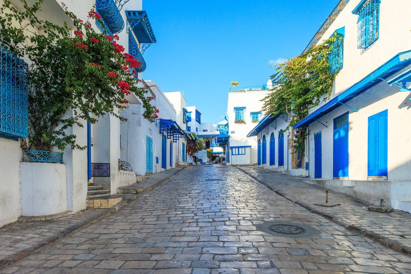 Tunus: Kartaca’dan Sidi Bou Said’e, Sahra’dan Hammamet’e