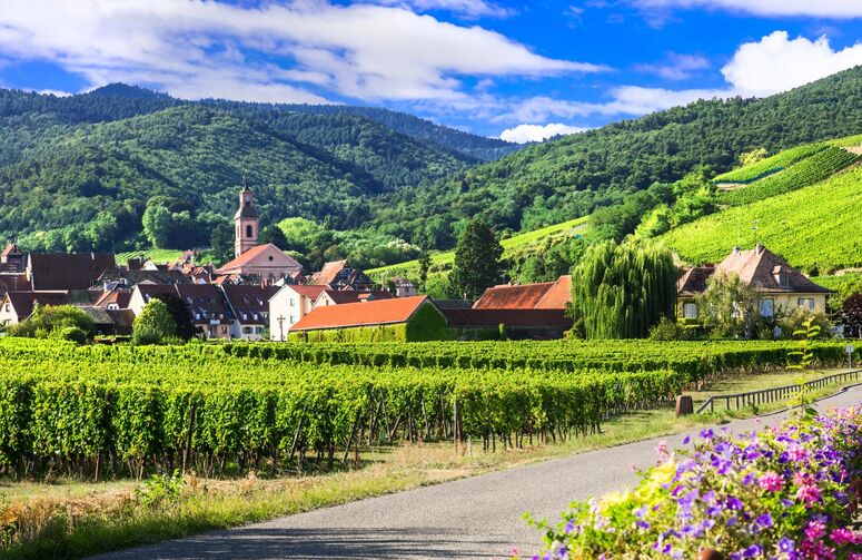 THY ile Elit Alsace Noel Pazarları Turu - 3 Gece - Ekstra Turlar Dahil! (Stuttgart Gidiş-Dönüş)