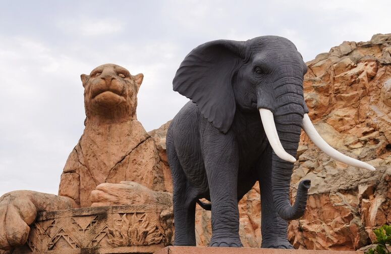 Elit Güney Afrika Turu - THY ile - 7 Gece - Ekstra Turlar Dahil! - Sömestr Dönemi