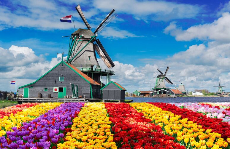 THY ile Ramazan Bayramı Dönemi Elit Hollanda & Amsterdam Turu - 3 Gece - Ekstra Turlar Dahil!