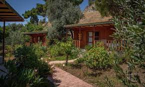 Felicity Hotel & Bungalows