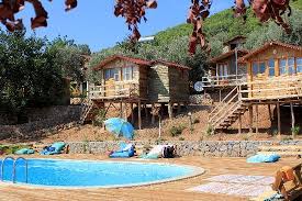 Olive Garden Kabak