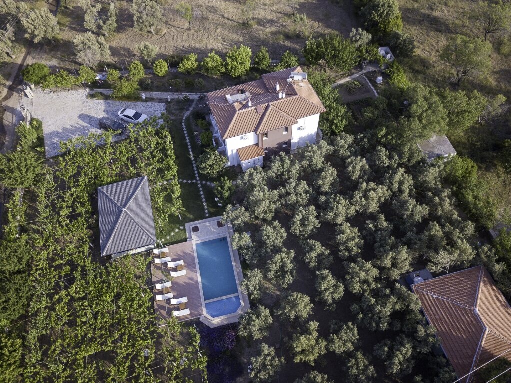 Grape Datça