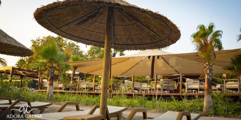 Adora Calma Beach +16