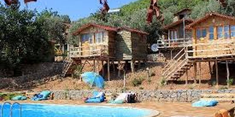 Olive Garden Kabak