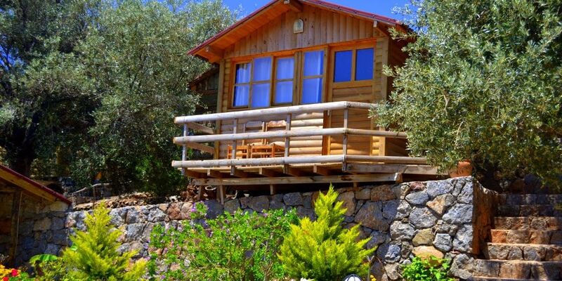 Olive Garden Kabak