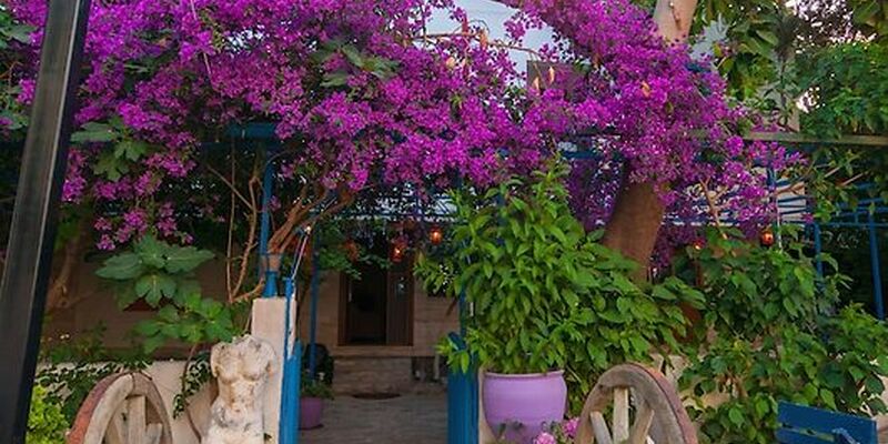 Thetis Pansiyon Datça