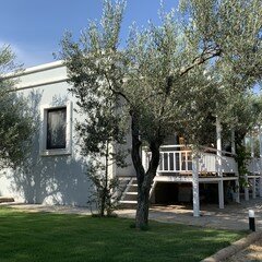 Zeytinli Bahçe Konuk Evi