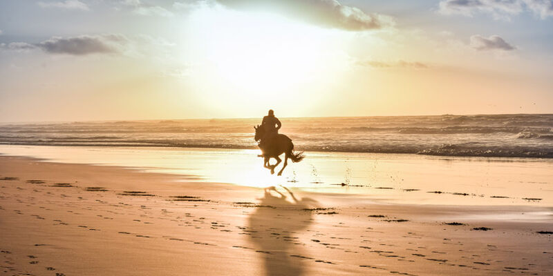 Elegant Fas Kraliyet Şehirleri Turu Air Arabia Havayolları ile 4 Gece - CMN-TNG