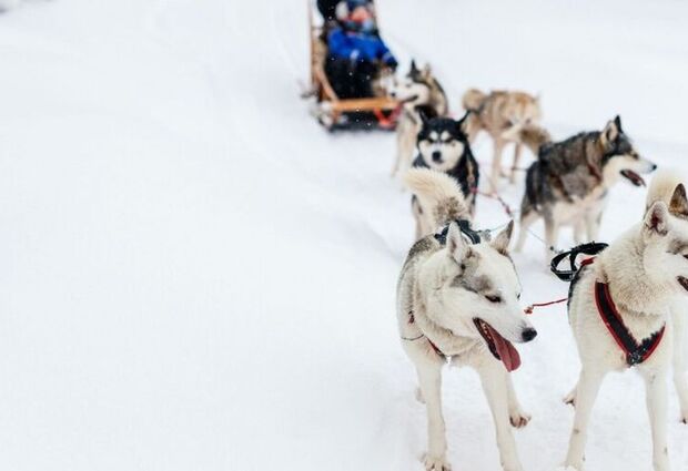 İzmir Çıkışlı Sömestre ve Sevgililer Gününe Özel Lapland Turu Kuzey Işıkları Rotası - 3 Gece