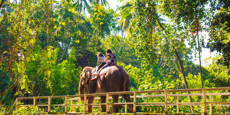 Sri Lanka Turu - 2026 - (CMB-CMB) - v2