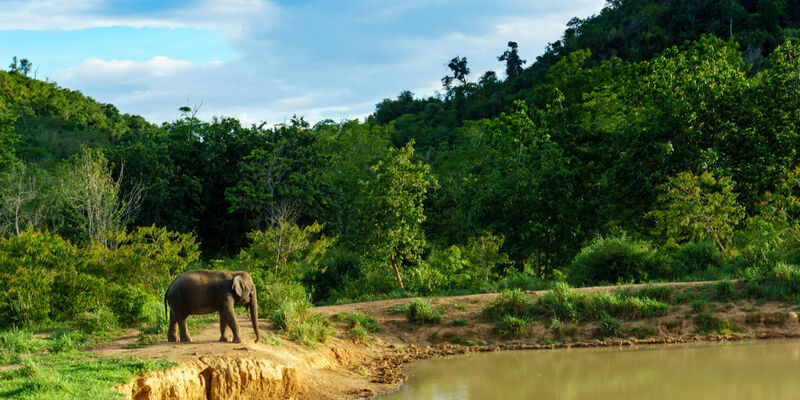 Sri Lanka Turu - 2026 - (CMB-CMB) - v2