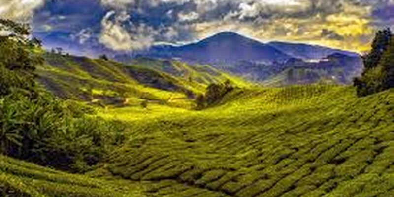 Air Asia Havayolları ile Kuala Lumpur - Langkawi Turu - Her Cuma Hareket - 6 Gece 8 Gün