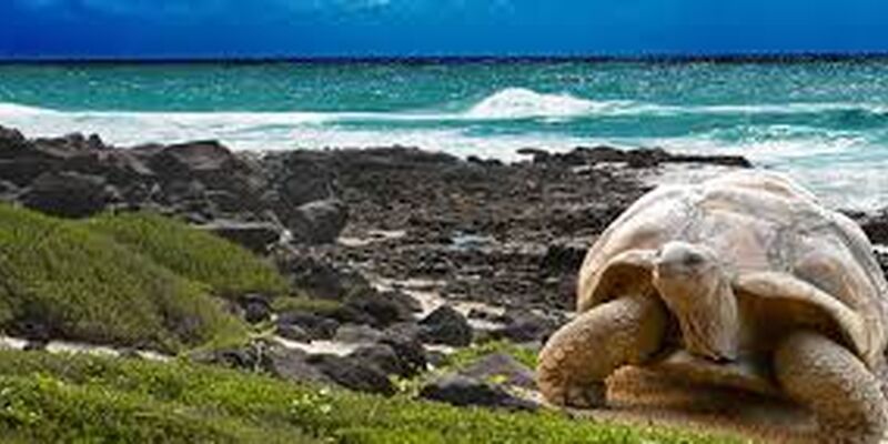 Türk Havayolları ile Panama & Kolombiya & Ekvador & Galapagos Adaları Turu - 13 Gün - 2026