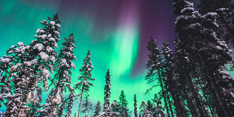 Ankara Çıkışlı Lapland Sömestre Özel