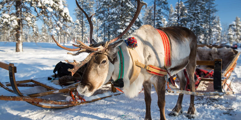 Ankara Çıkışlı Lapland Sömestre Özel