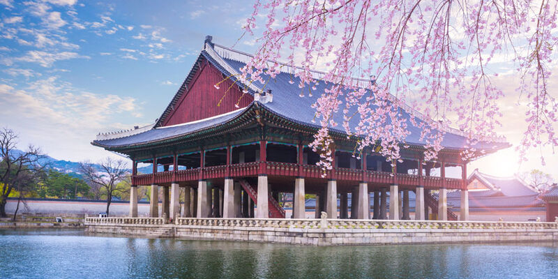 Dolu Dolu Japonya & Kore Turu Mistik Rotalar V3