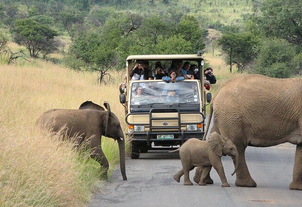 Dolu Dolu Güney Afrika & Botsvana & Victoria Şelaleleri Turu Rotası