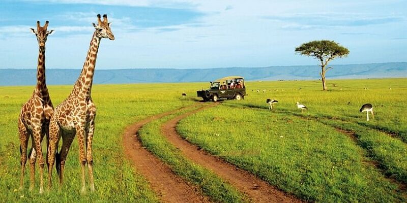 Dolu Dolu Kenya Safari Turu Rotası