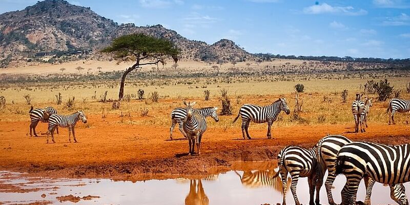 Dolu Dolu Kenya Safari Turu Rotası