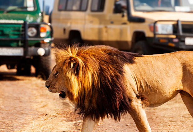 Dolu Dolu Kenya Safari Turu Rotası