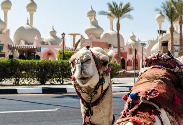 Sharm El Sheikh Turu Kızıldeniz Rotası V2