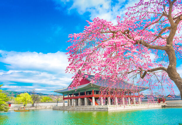 Kore ve Japonya Turu Emirates Hava Yolları ile 9 Gece 