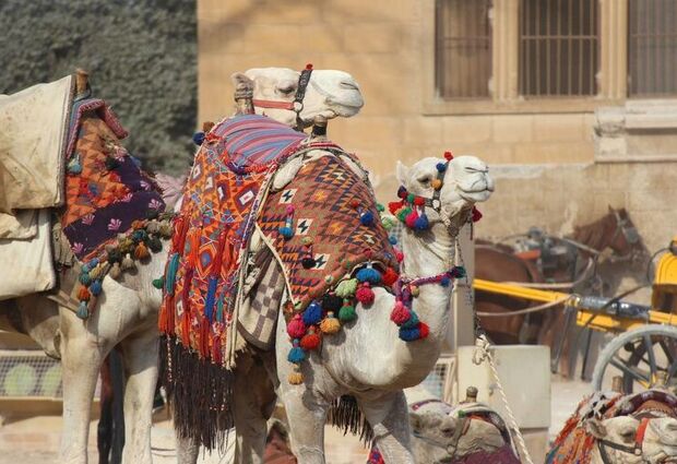 AirArabia ile Antik Mısır'ın Başkenti Kahire Turu - 4 Gece