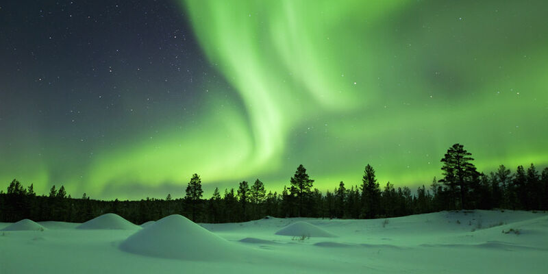 Kraliçe: St. Petersburg Turu - (LED)