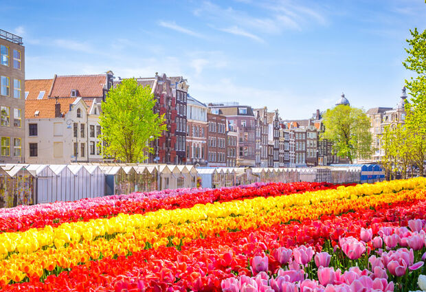 Benelüx Paris & Alsace Turu - 2026 - (CDG-CDG)