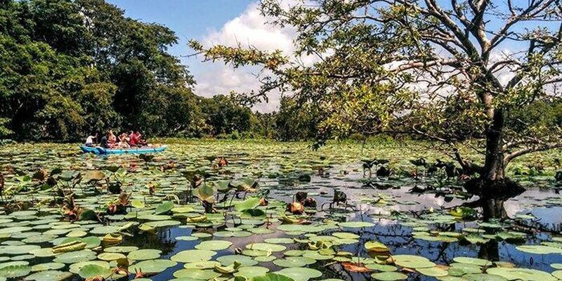 Dolu Dolu Doğa Harikası Sri Lanka Turu Rotası