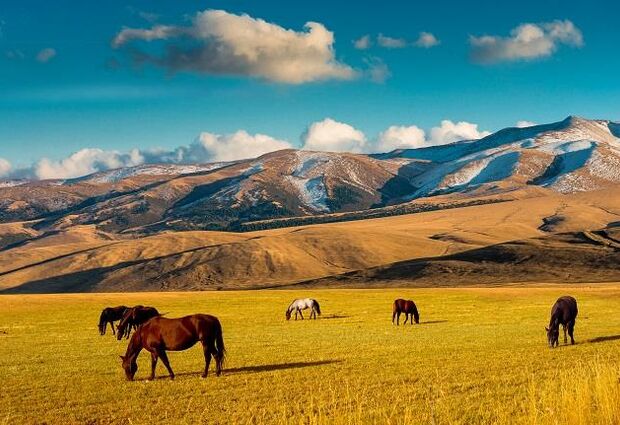 Görkemli Özbekistan İpek Yolunun İncisi - THY ile (2026 Yaz Dönemi)