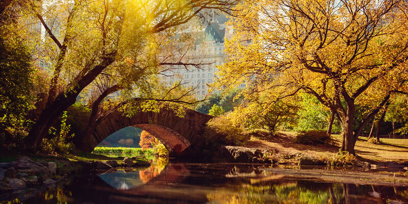 Fırsat New York & Orlando & Miami Turu