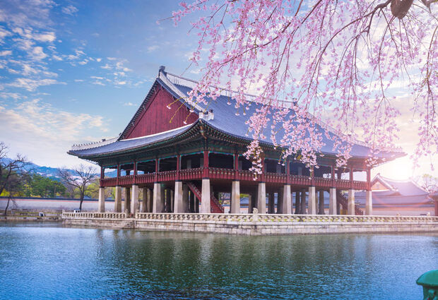 Dolu Dolu Japonya & Kore Turu Mistik Rotalar V4