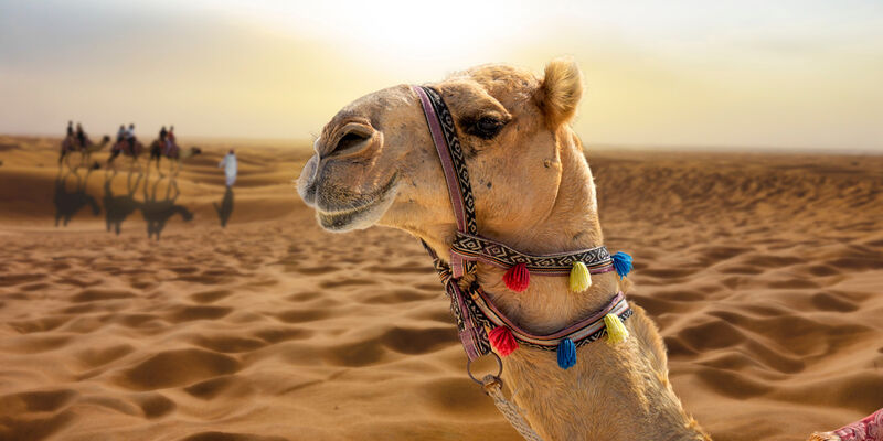 Hilton Özel Dubai Turu Ajet ile 3 Gece