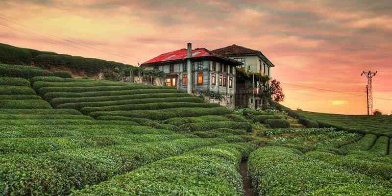 Kurban Bayramı Özel İzmir Çıkışlı Karadeniz Rüyası ve Batum Turu 5 Gece Otel Konaklamalı (Batum Turu Dahil)