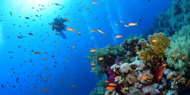 Sharm El Sheikh & İskenderiye & Kahire Turu – Pegasus Havayolları ile 4 Gece