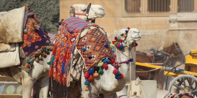 Ankara Çıkışlı Kahire & Sharm El Sheikh Turu - AJet ile - 5 Gece (07-12 Nisan)