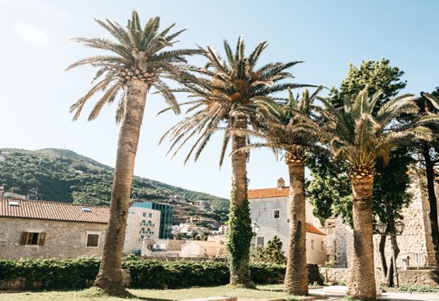 Ankara’dan Direkt Sefer İle Budva Turu Rotası