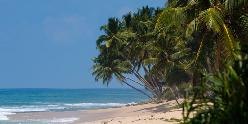 Elegant Sri Lanka Turu - THY ile