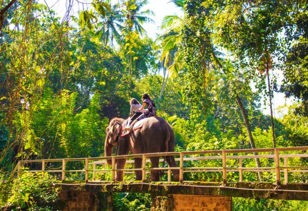 Elegant Sri Lanka Turu - THY ile
