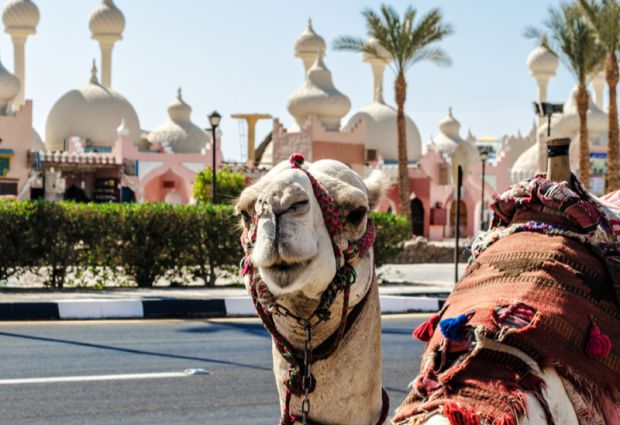 Sharm El Sheikh Turu - THY ile - 4 Gece 5 Gün (26-30 Nisan)