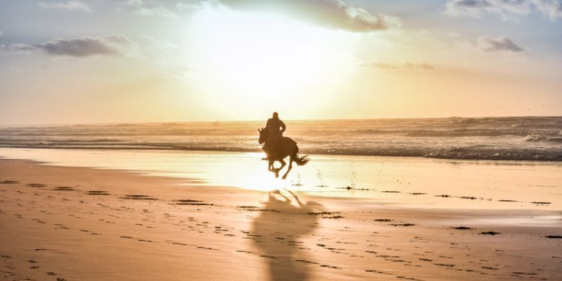Görkemli Fas Krallığı ve Mistik Şehirler Turu - 4 Gece - THY ile (2026 İlkbahar Dönemi)