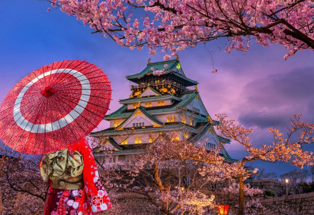 Comfort Japonya Turu Türk Havayolları ile 7 Gece Ekstra Turlar ve Çay Seremonisi Dahil Yaz Dönemi KIX NRT Yaz Dönemi - Akşam Dönüş Uçuşu