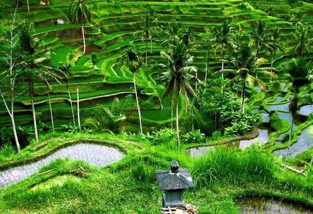 Harikalar Diyarı Bali & Ubud Rotası Turu | THY ile