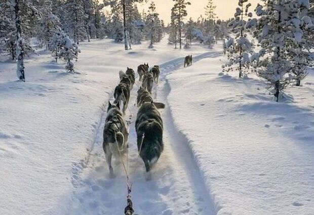 Süper Promo Lapland Beyaz Rotalar Turu | THY ile 3 Gece Konaklama