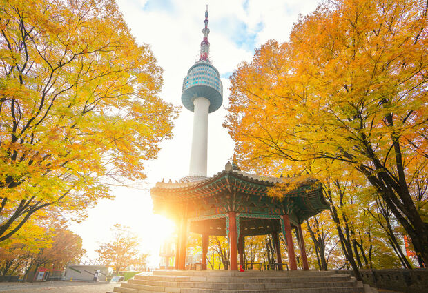 Japonya ve Güney Kore Turu