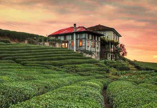 Ramazan Bayramı Özel Bursa Çıkışlı Karadeniz Rüzgarı ve Batum Turu 4 Gece Otel Konaklaması